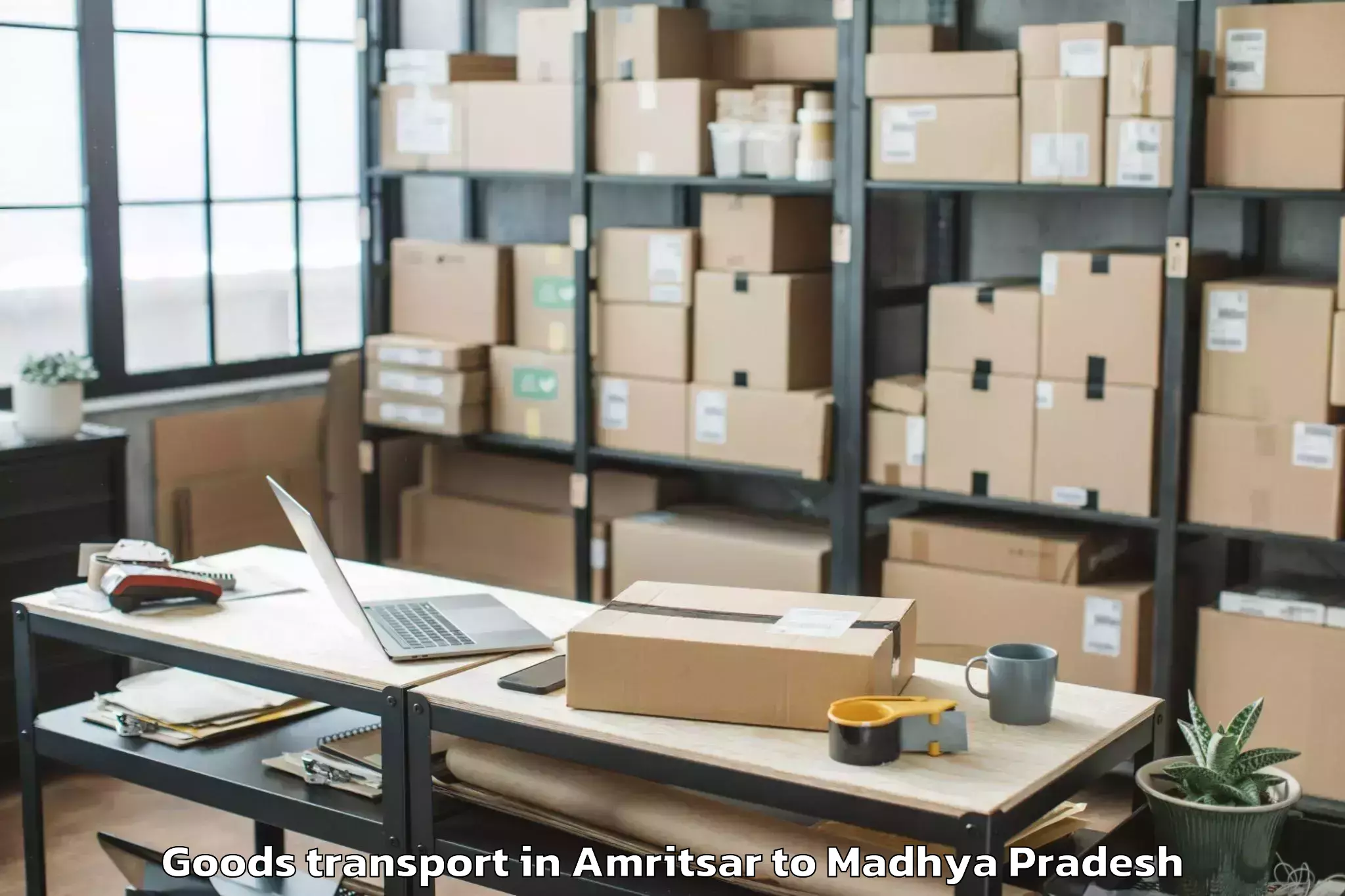 Book Amritsar to Badnagar Goods Transport